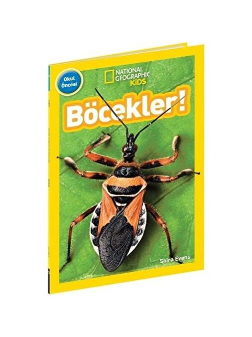 Beta Yayınevi Beta National Geographic Kids Okul Öncesi / Böcekler - Ktp