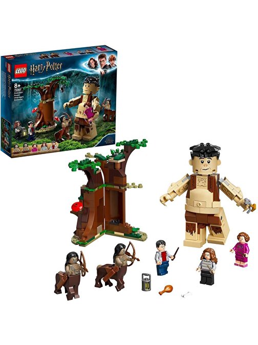 Lego Harry Potter Yasak Orman: Grawp ve Umbridge'in Karşılaşması 75967