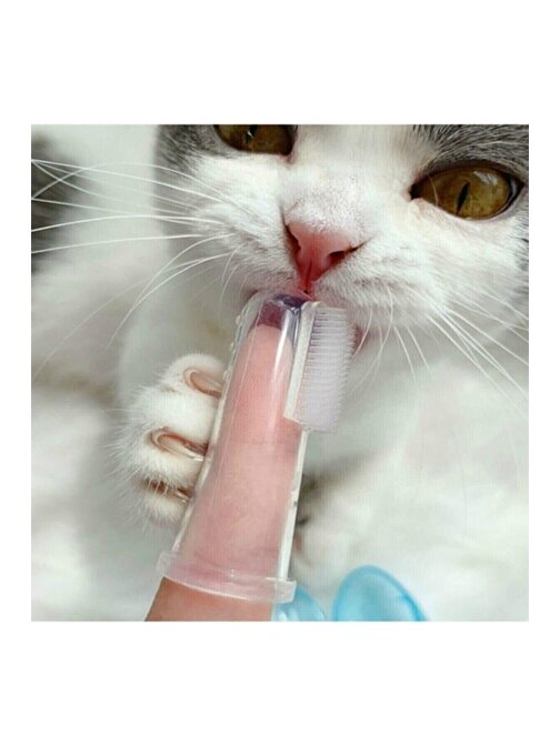Pazariz Kedi Ve Köpek Parmak Diş Fırçası Saklama Kutulu Kolay Kullanımlı Evcil Hayvan Diş Bakım Fırç