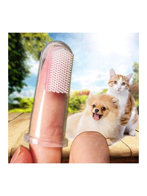 Pazariz Kedi Ve Köpek Için Parmak Diş Fırçası 1 Adet