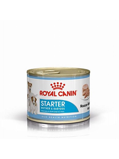 Royal Canin Starter Mousse Puppy Yavru Köpek Konservesi 6 Adet 195 Gr