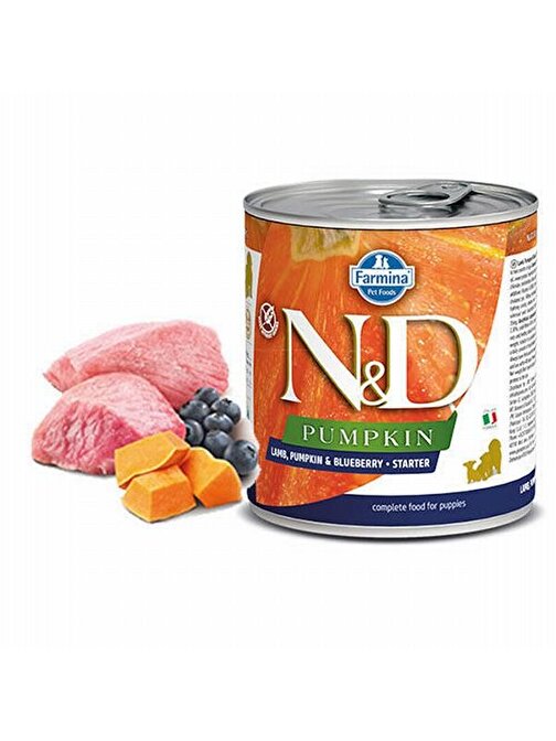 N D Pumpkin Kuzulu Yaban Mersinli Starter Köpek Konserve 6X285 Gr