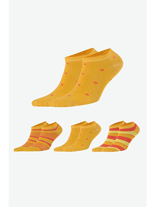 Aytuğ Kadın Pamuklu 3 Çift Çizgili Benekli Koyu Sarı Patik Çorap - A-BNK-KS