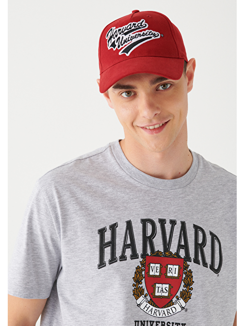 Mavi - Harvard Baskılı Kırmızı Şapka 092896-34329