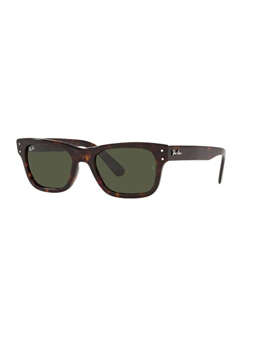 Ray-Ban RB2283 902/31 55 Erkek Güneş Gözlüğü