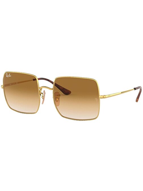 Ray-Ban RB1971 914751 54 Square Unisex Güneş Gözlüğü