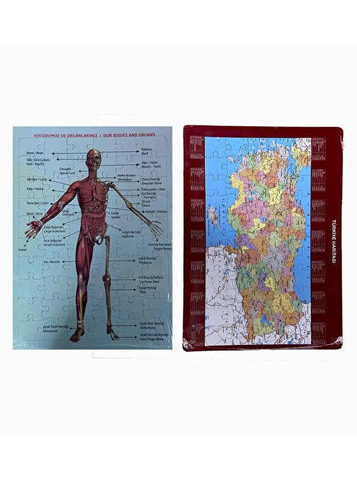 2'li Eğitici Puzzle Set Türkiye Haritası 50 Parça Ve İnsan Anatomisi 60 Parça
