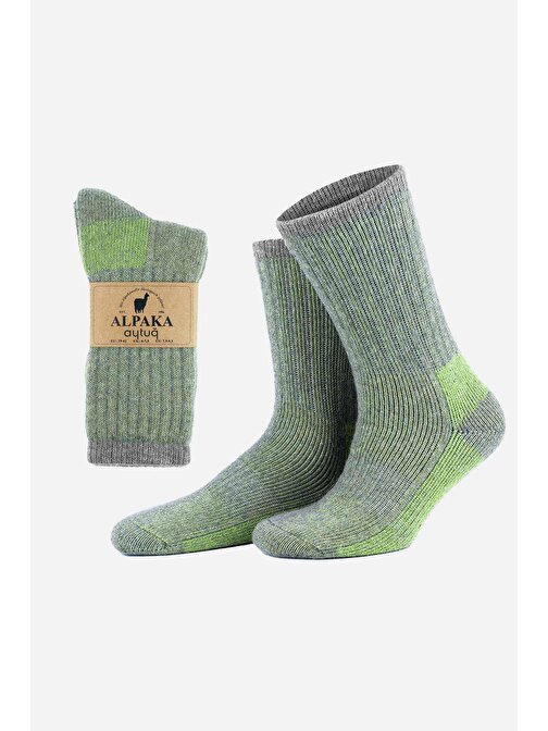 Aytuğ Unisex Alpaka Yünü Havlu Kışlık Gri/Yeşil Soket Çorap - A-6006
