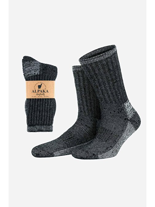 Aytuğ Unisex Alpaka Yünü Havlu Kışlık Antrasit/Ekru Soket Çorap - A-6006