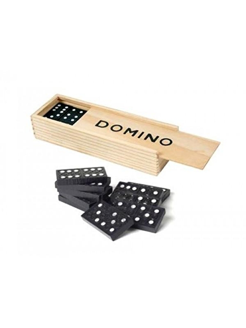 Can İthalat Ahşap Domino Seti