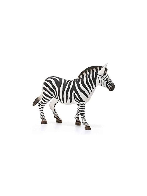 Schleich 14810 Dişi Zebra Wild Life Hayvan Figürü 5 - 7 Yaş