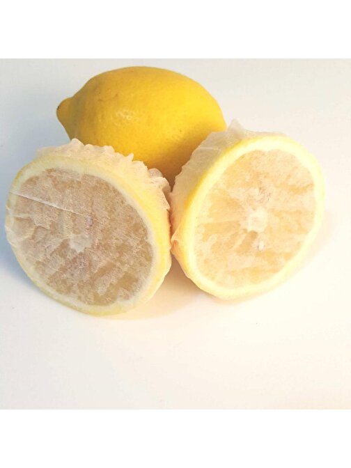Toptan Bulurum Limon Bonesi / 50 Adet / Bitki Çayı Bonesi