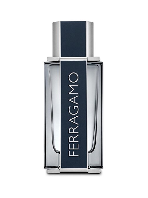 Salvatore Ferragamo EDT Odunsu Erkek Parfüm 100 ml
