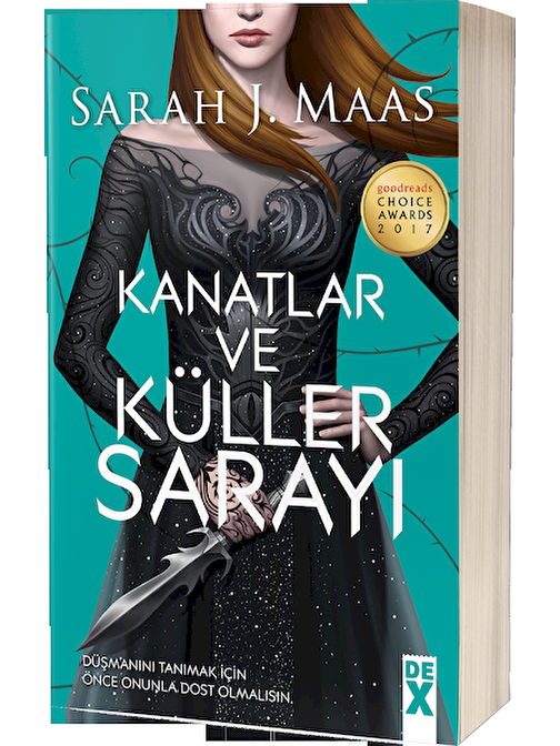 Doğan Kitap Kanatlar ve Küller Sarayı - Sarah J. Maas