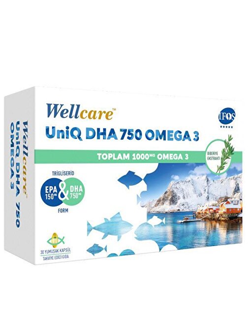 Wellcare Uniq Dha 750 Omega 3 Balık Yağı 30 Kapsül