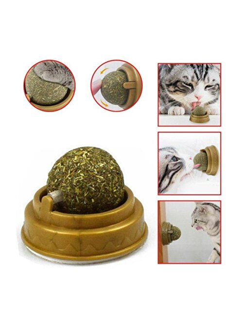 Sin@Rasta Doğal Catnipli Yenilebilir Kedi Nanesi Otu Oyun Topu Oyuncağı Cat Mint Top Oyuncak