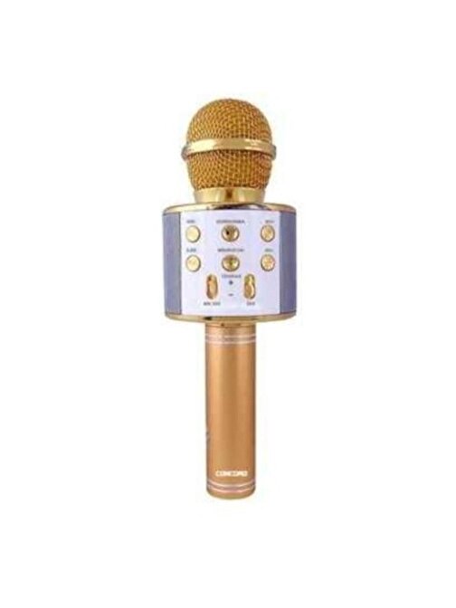 Pazariz C-792 Bt/Tf/Usb/Fm Rose Gold Karaoke Mikrofon