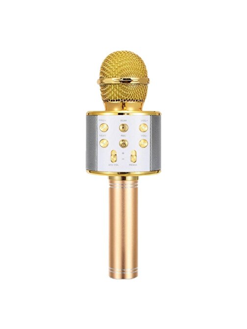 Pazariz Karaoke Bluetooth Mikrofon Gold