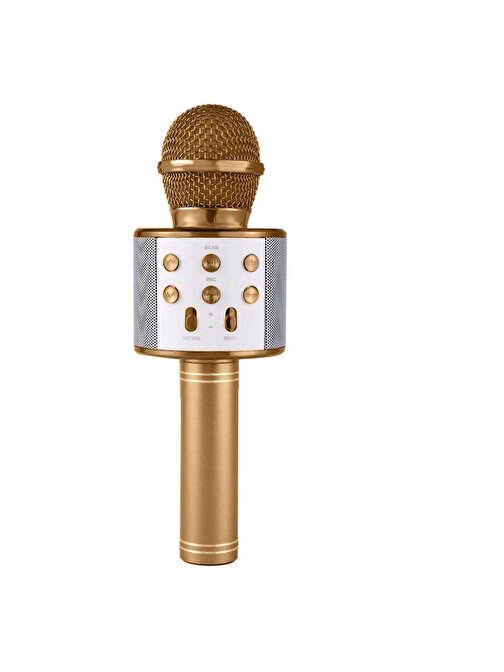 Pazariz Karaoke Mikrofon Bluetooth, USB, Hafıza Kartı Ve Aux Girişli WS-858