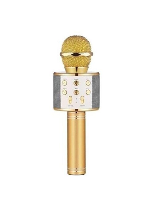 Pazariz Karaoke Mikrofon Dahili Hoparlörlü USB Flash Destekli WS-858 Gold