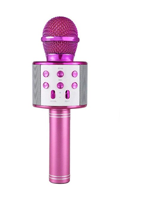 Pazariz Pembe Şarj Edilebilir Telefon ve Usb Bağlantılı Karaoke Mikrofon