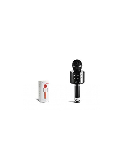 Pazariz Pl-2462 Fm Li Karaoke Mikrofon Kablosuz