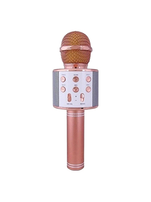 Pazariz Sihirli Karaoke Mikrofon Bluetooth Hoparlör