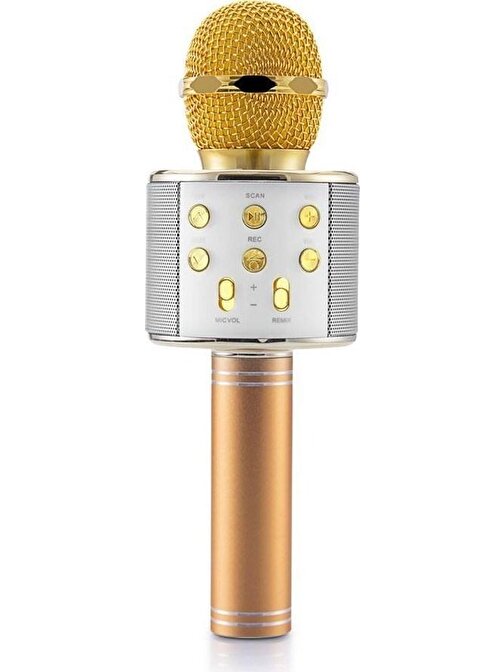 Pazariz Star 2023 Karaoke Altın Sarısı Mikrofon