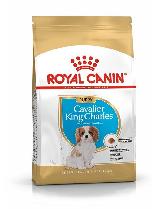 Royal Canin Cavalier Junior Köpek Maması - 1.5 Kg