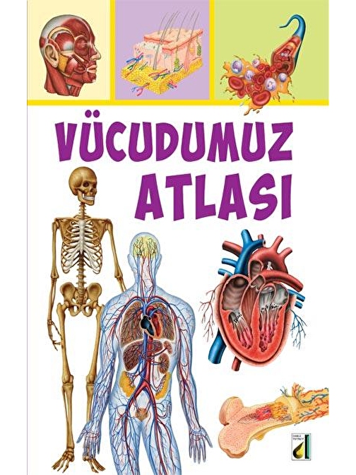 VÜCUDUMUZ ATLASI