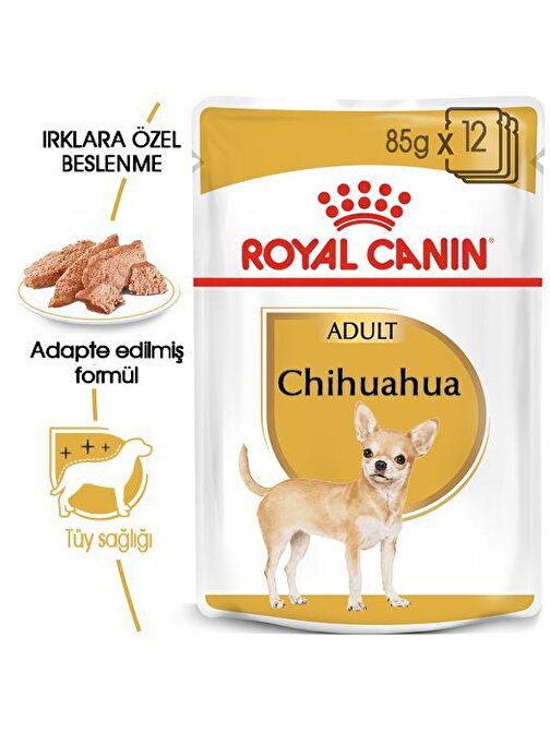 Royal Canın Bhn Chıhuahua 85 Gr