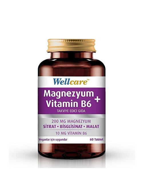 Wellcare Magnezyum + Vitamin B6 60 Tablet