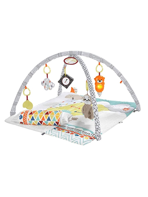 Fisher Price Perfect Sense Delüks Jimnastik Aktivite Halısı