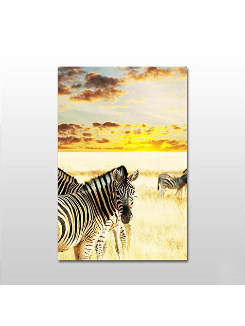 Zebra Kanvas Tablo 60x30 cm