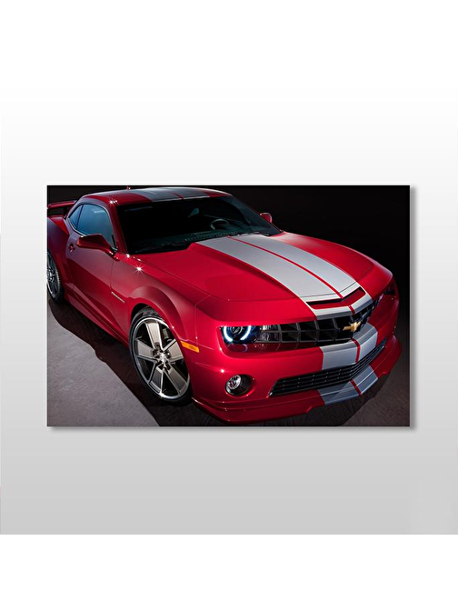 Mustang Kanvas Tablo 75x50 cm