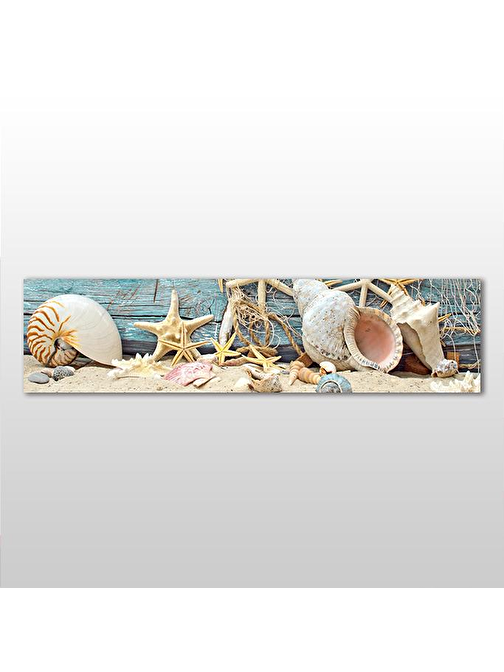 Technopa Deniz Yıldızı Ve Deniz Kabuğu Kanvas Tablo 150x50 cm