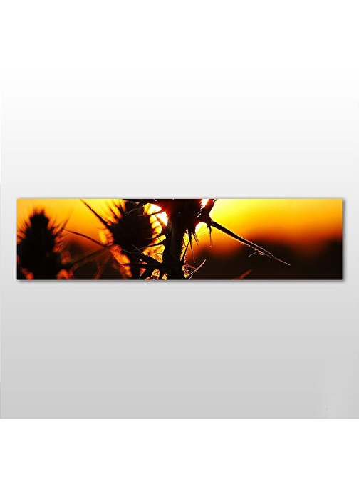 Kaktüs Kanvas Tablo 150x50 cm