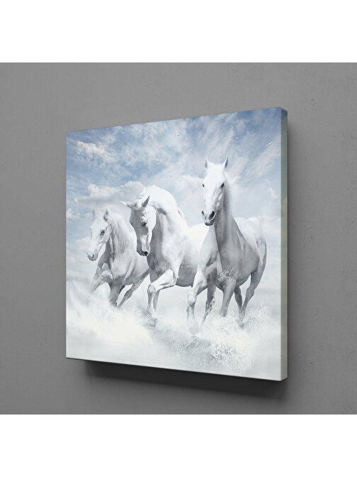 Technopa Beyaz Atlar Ülkesi Kanvas Tablo 100x100 cm