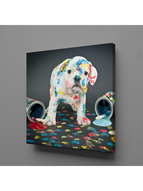 Technopa Boya Sıçramış Beyaz Köpek Kanvas Tablo 40x40 cm