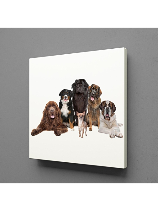 KÖPEK TOPLULUĞU KANVAS TABLO 80x80 cm