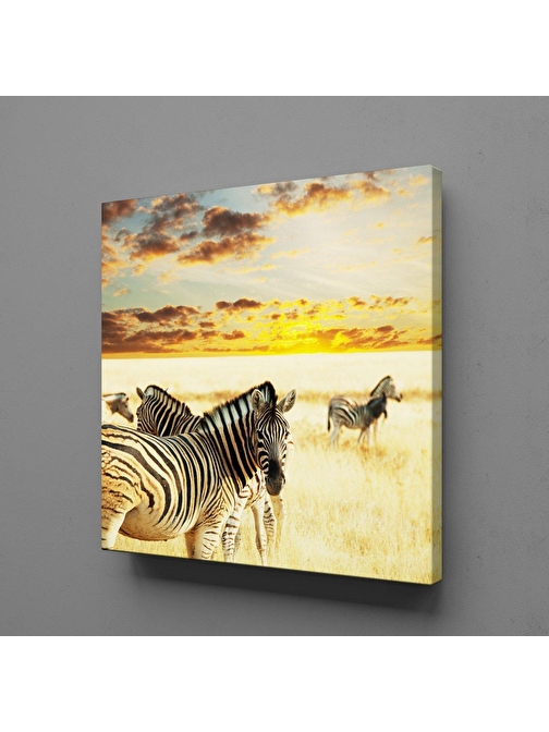 ZEBRA KANVAS TABLO 25x25 cm 1 li