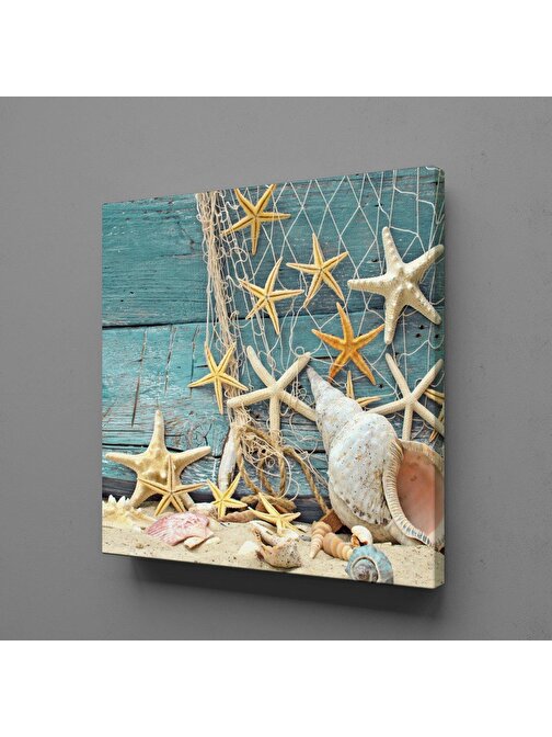 Technopa Deniz Yıldızı Kabukları Temalı Kanvas Tablo 150x150 cm