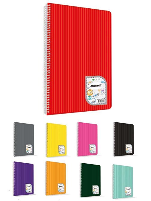 Nusrat Bilişim Çınar Colormaxi Spiralli Defter Plastik Kapak Kareli 120 Yaprak A4 120/4 73008