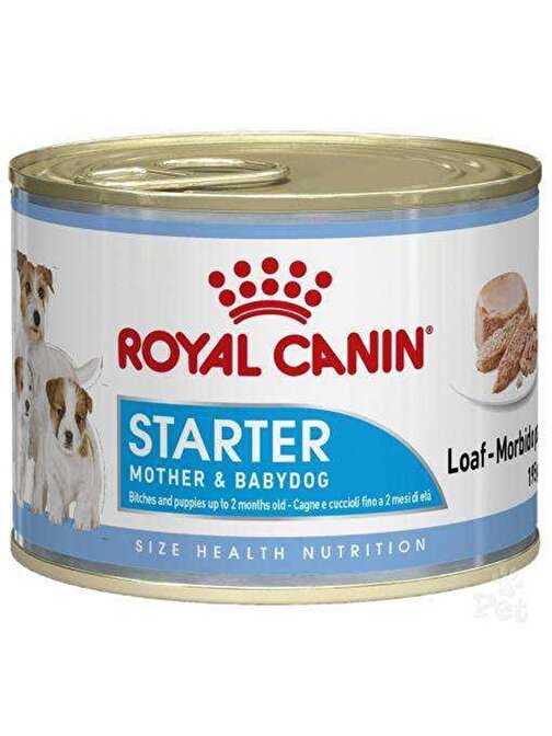 Royal Canin Starter Mousse Anne Ve Yavruları İçin Köpek Konservesi 195 Gr