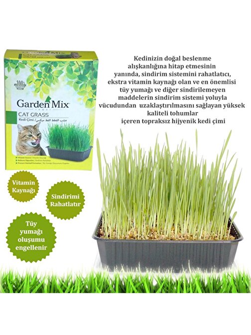 Gardenmix Kedi Çimi