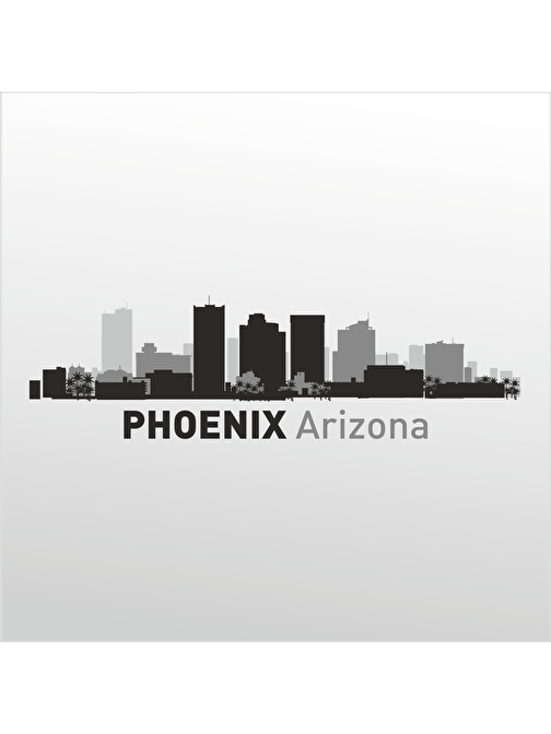 Technopa Folyo Sticker Phoenix Arizona