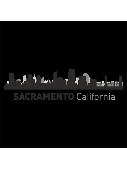 Technopa Sacramento California Folyo Sticker