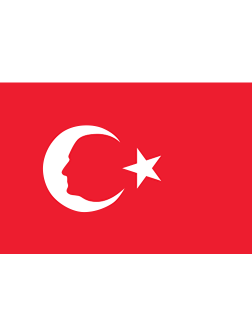 Technopa Bayrakta Atatürk Silüeti Folyo Sticker