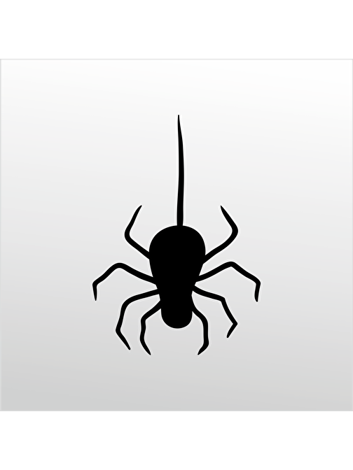 Technopa Folyo Sticker Örümcek