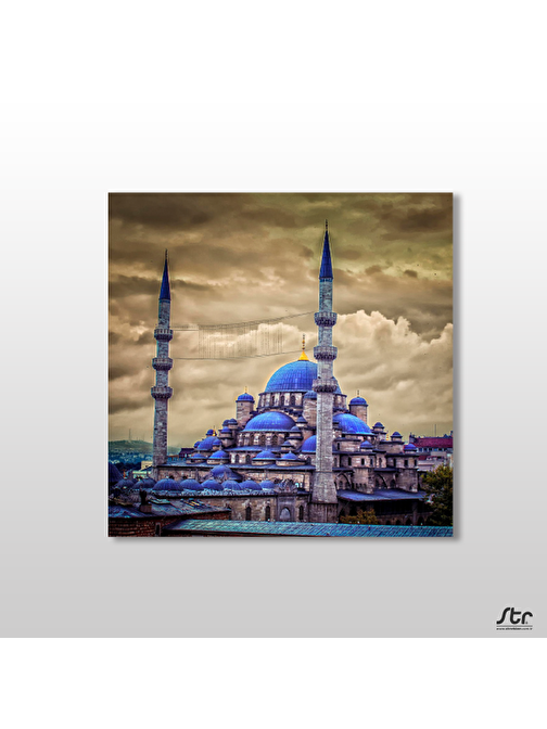 Technopa Fatih Camii Kanvas Tablo 30x30 cm